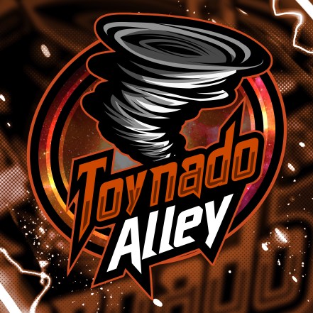 TOYNADO ALLEY LLC